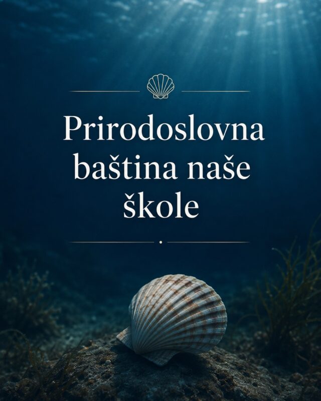 https://gimnazija-ivanapavla.hr/wp-content/uploads/2026/07/Prirodoslovna-bastina-slika-640x800.jpg